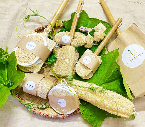 Xơ mướp hữu cơ rửa chén bát
